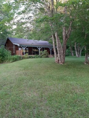 Sherbrooke Lake Cottage with Private Beach